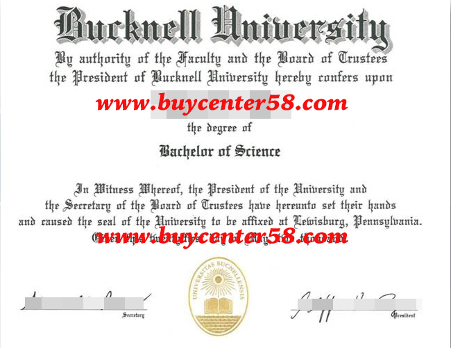 buy Bucknell University diploma