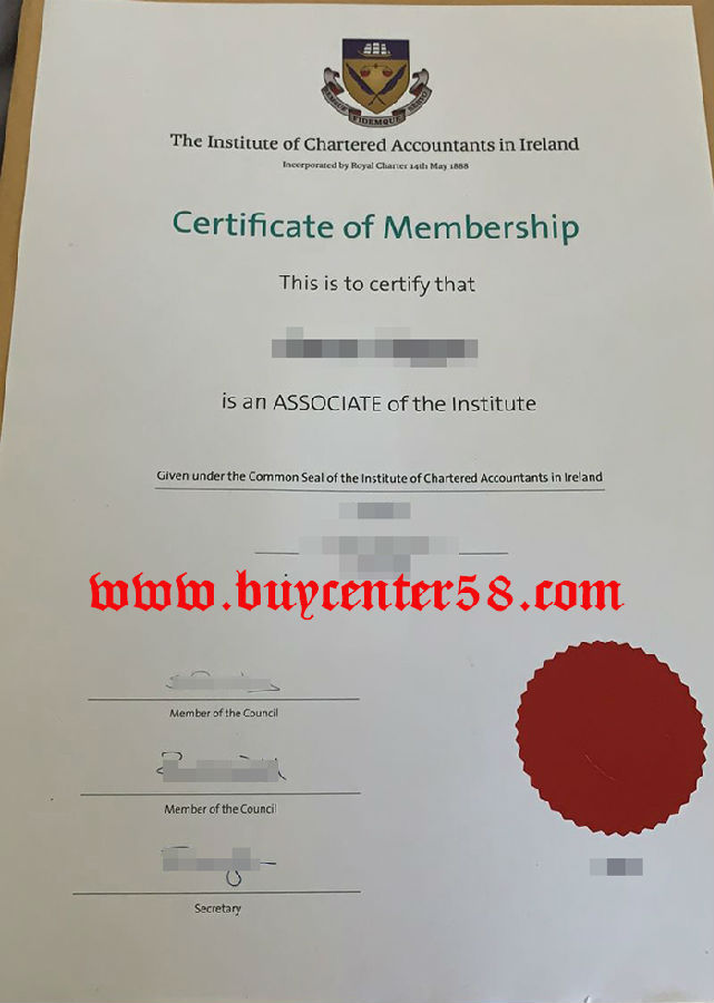 The Institute of Chartered Accountants In Ireland Certificate. ICAI certificate