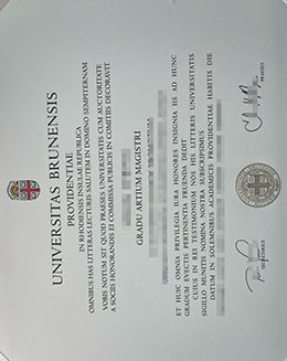 Highly recognized Universitas Brunensis diploma certificate.